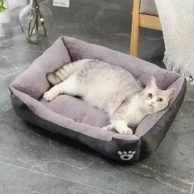Lit chat - CouchaMiaou™ - CatLoversBoutique.com