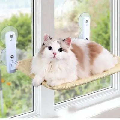 Lit pour chat HamaCat™  Confort et Vue Imprenable CatLoversBoutique.com