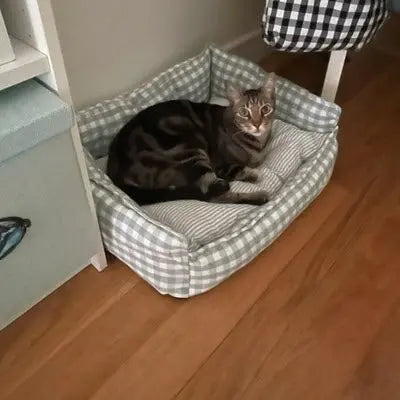 Panier pour chat | Ronronia™ CatLoversBoutique.com