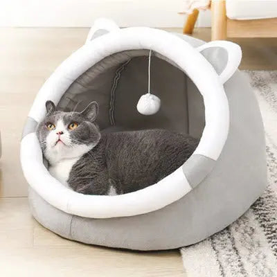 Panier pour cht | Zénichat™ CatLoversBoutique.com