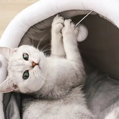 Panier pour cht | Zénichat™ CatLoversBoutique.com
