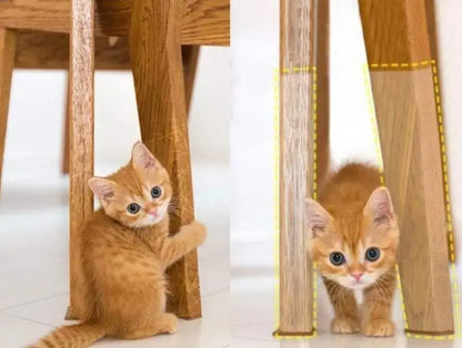 Protection de meubles anti griffure chat - MeublesParfait™ - CatLoversBoutique.com