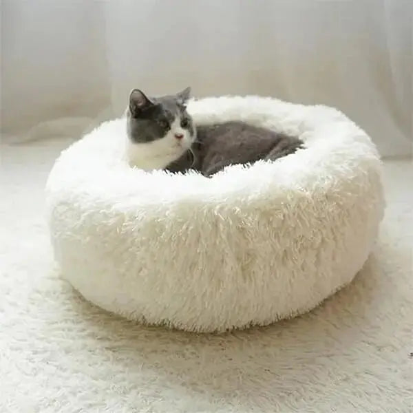 TopConfort™ - Coussin pour chat - CatLoversBoutique.com