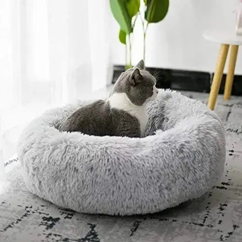 TopConfort™ - Coussin pour chat - CatLoversBoutique.com