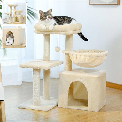 arbre à chat cozyclimb - chat sur plateau supérieur
